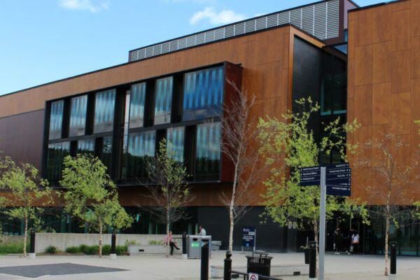 estudiar en toronto verano